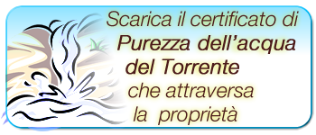 certificato purezza dell'acqua del torrente